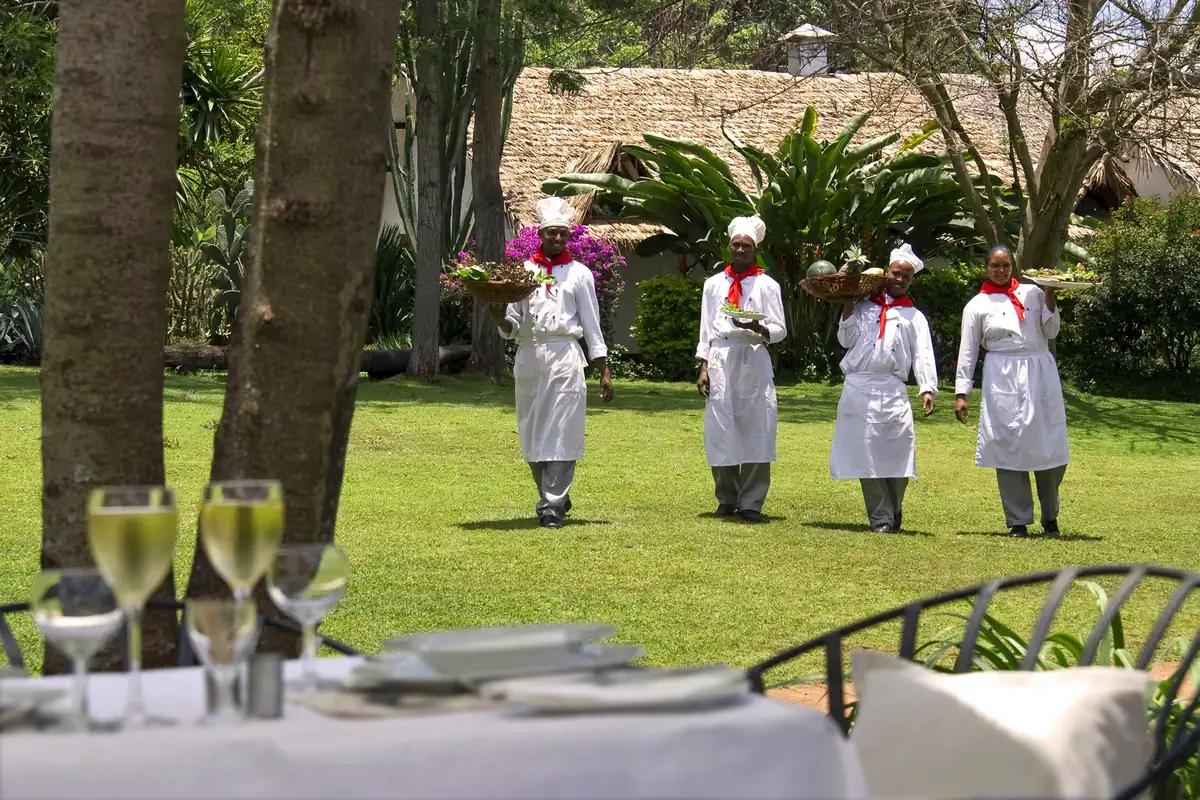 Kitchen team carrying dishes across the garden lawn