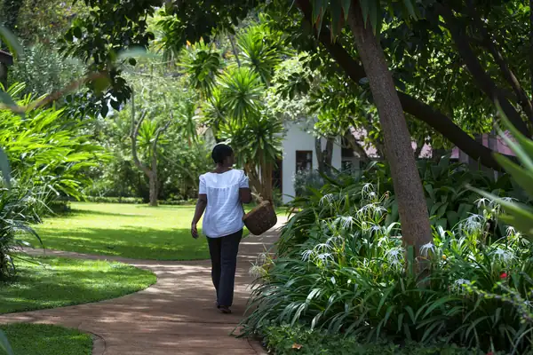 Walking through the garden