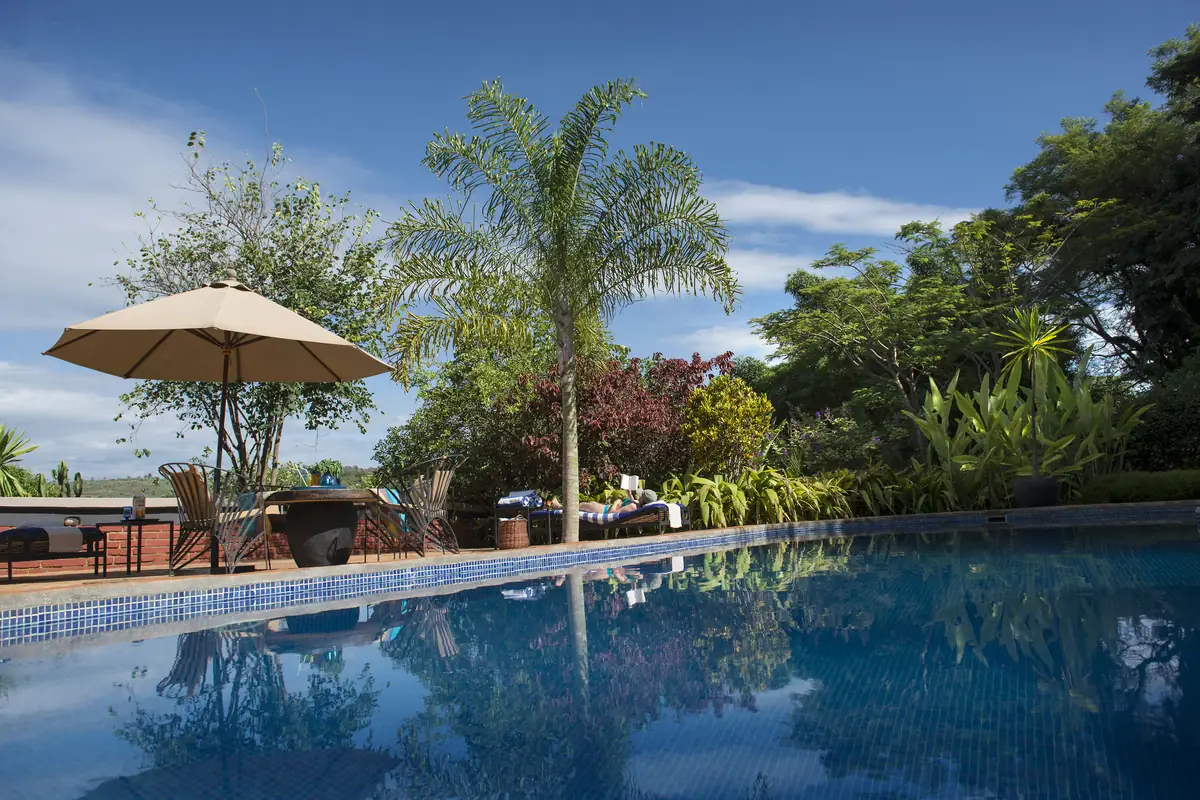 Swimming pool with palm and parasol, looking towards the hills
