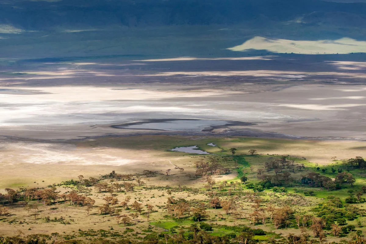 View over the Ngorongoro Crater floor