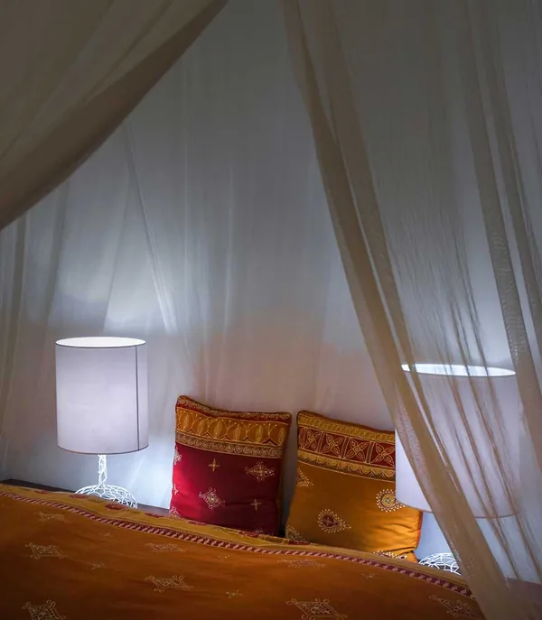 Embroidered cushions on a bed beneath a mosquito net