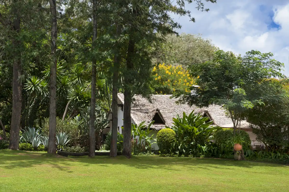 Thatched lodge buildings beneath tall trees on the garden lawn